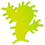 Project management by Cactus Competence